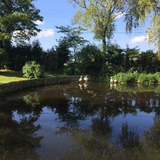 Apartmán Au Coeur De La Flandre Noordpeene Exteriér fotografie