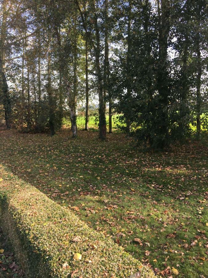 Apartmán Au Coeur De La Flandre Noordpeene Exteriér fotografie