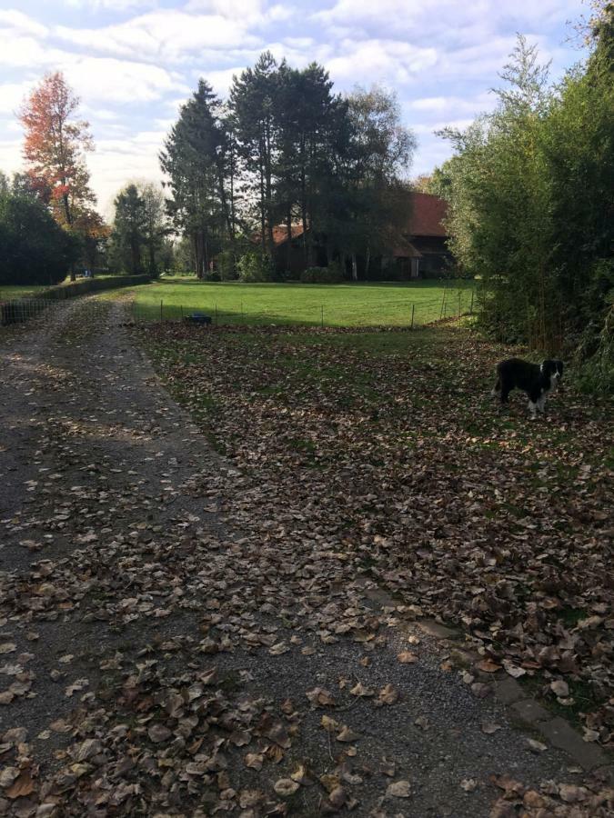 Apartmán Au Coeur De La Flandre Noordpeene Exteriér fotografie