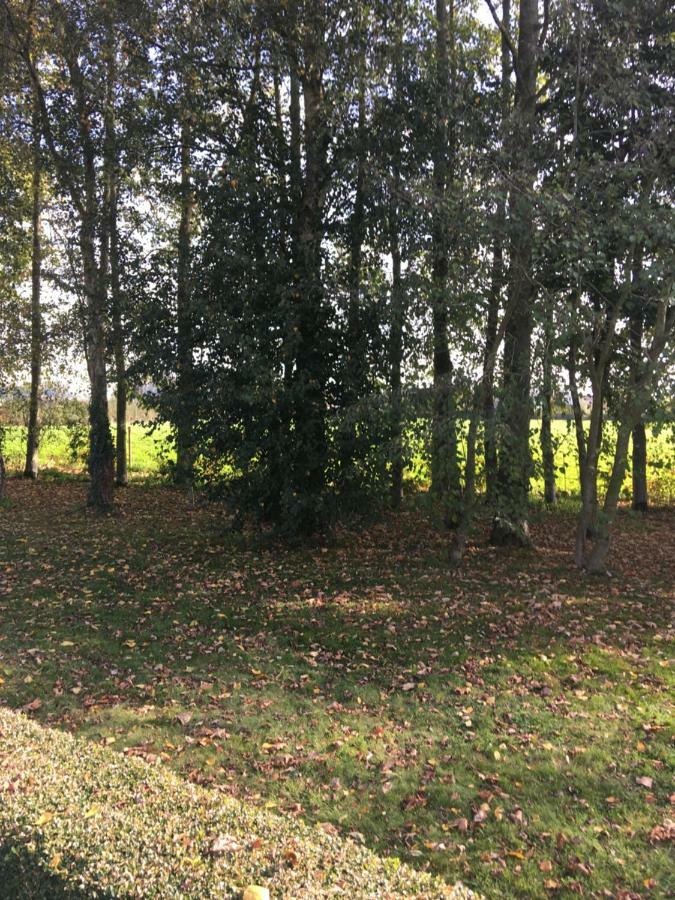 Apartmán Au Coeur De La Flandre Noordpeene Exteriér fotografie